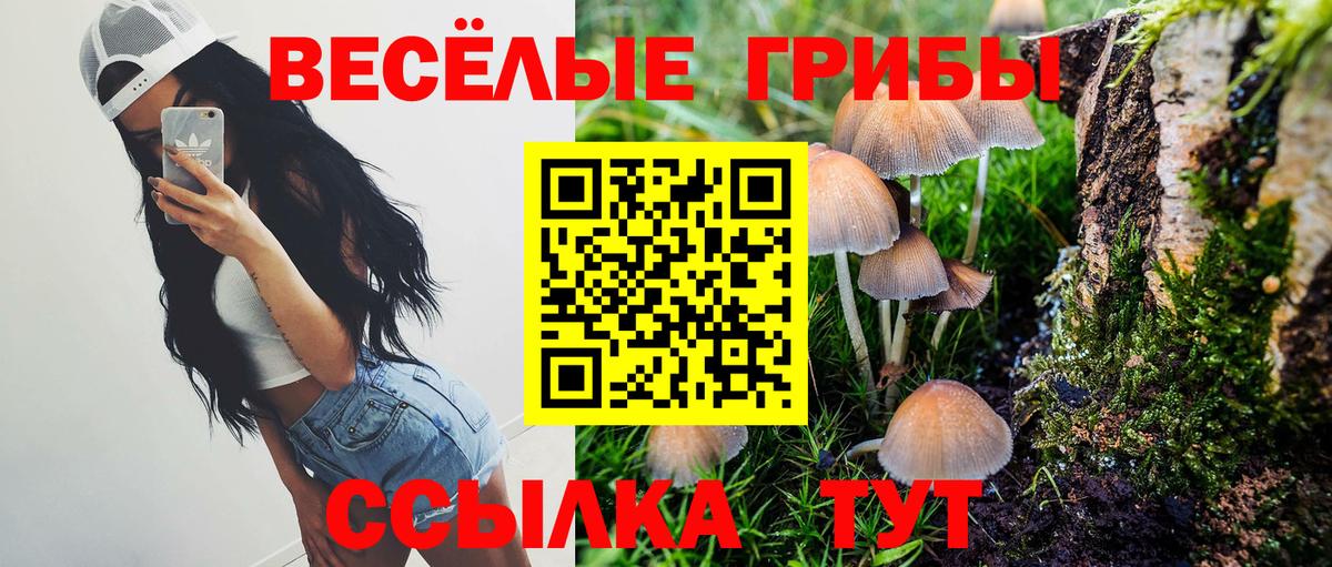 хочу   Псилоцибиновые грибы GOLDEN TEACHER  Кострома  Вход с VPN  Псилоцибиновые грибы мухоморы 